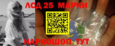 шишки Севастополь