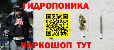 шишки Севастополь