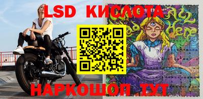 шишки Севастополь