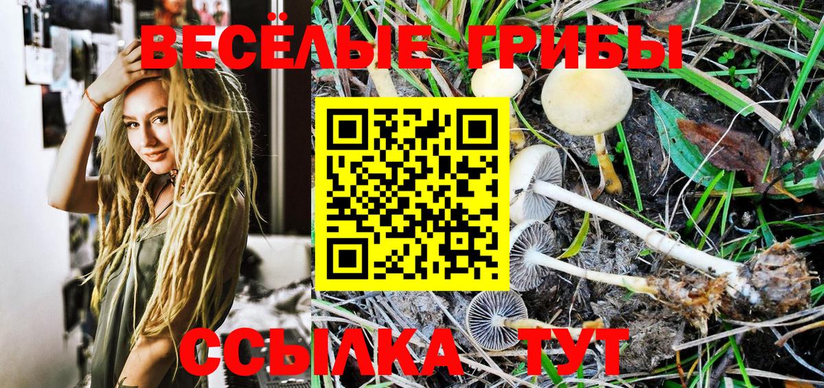 Галлюциногенные грибы Cubensis Ногинск