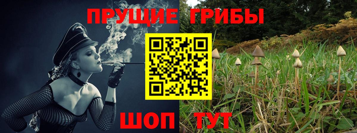 Галлюциногенные грибы Psilocybe  Псилоцибиновые грибы MAGIC MUSHROOMS  Ногинск  Вход с VPN 
